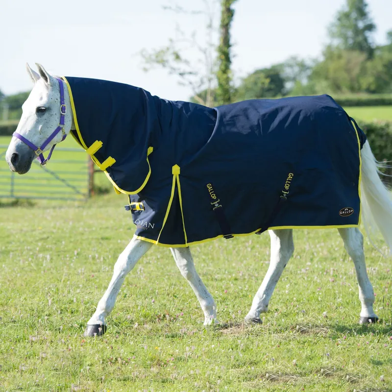 Gallop Trojan 200g Combo Turnout Rug