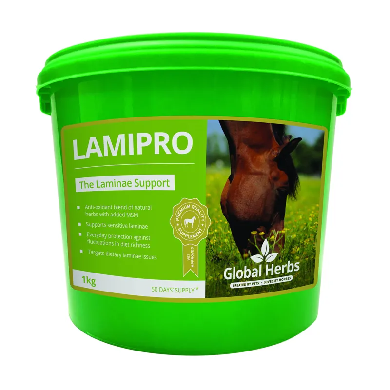 Global Herbs 1kg LamiPro Supplement in Green