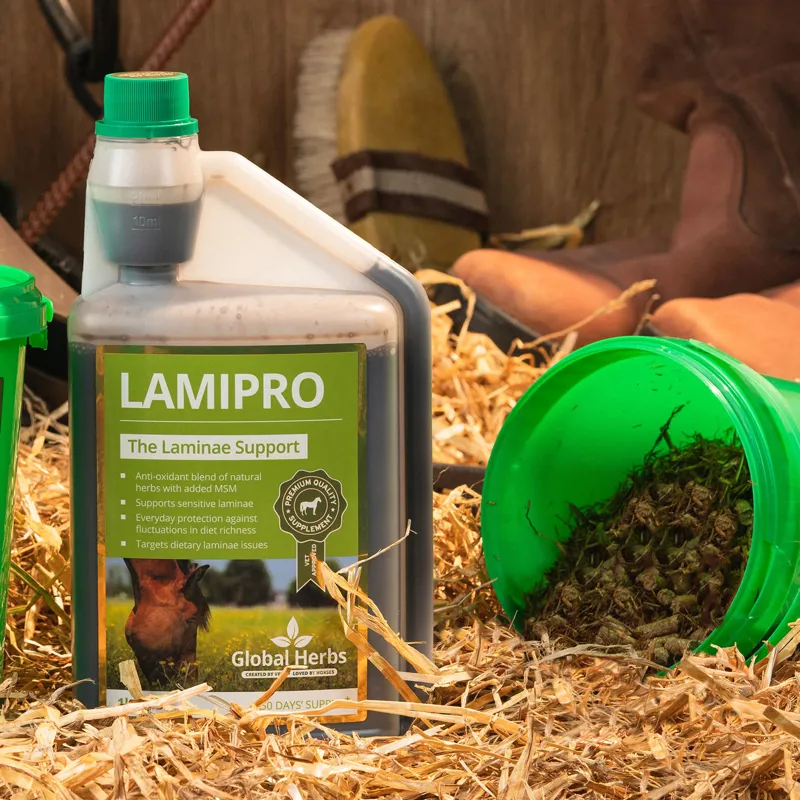 Global Herbs 1lt LamiPro Supplement in Green