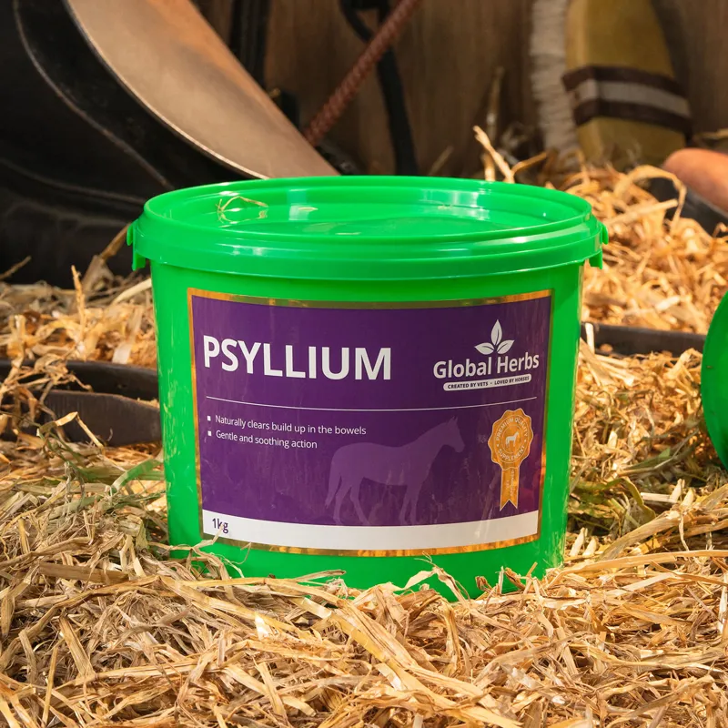 Global Herbs 1kg Psyllium Supplement in Red