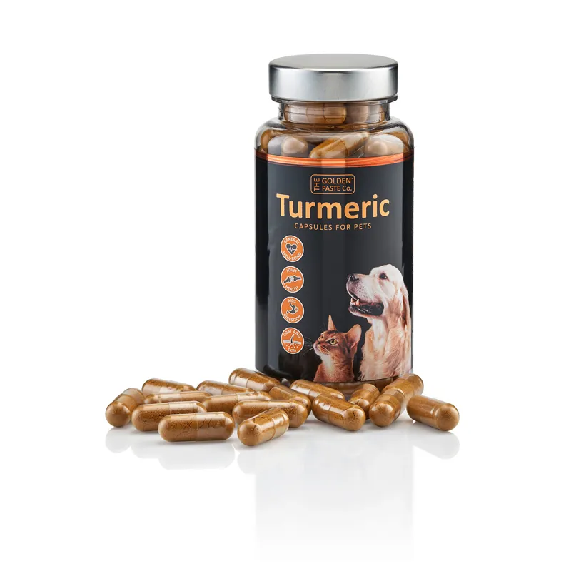 Golden Paste Company 90 Turmeric Capsules For Pets