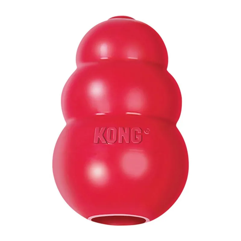 Kong Classic Toy-1