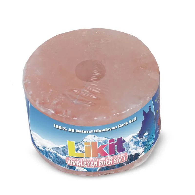 Likit 6 Pack Ice Himalayan Rock Salt Lick in Orange