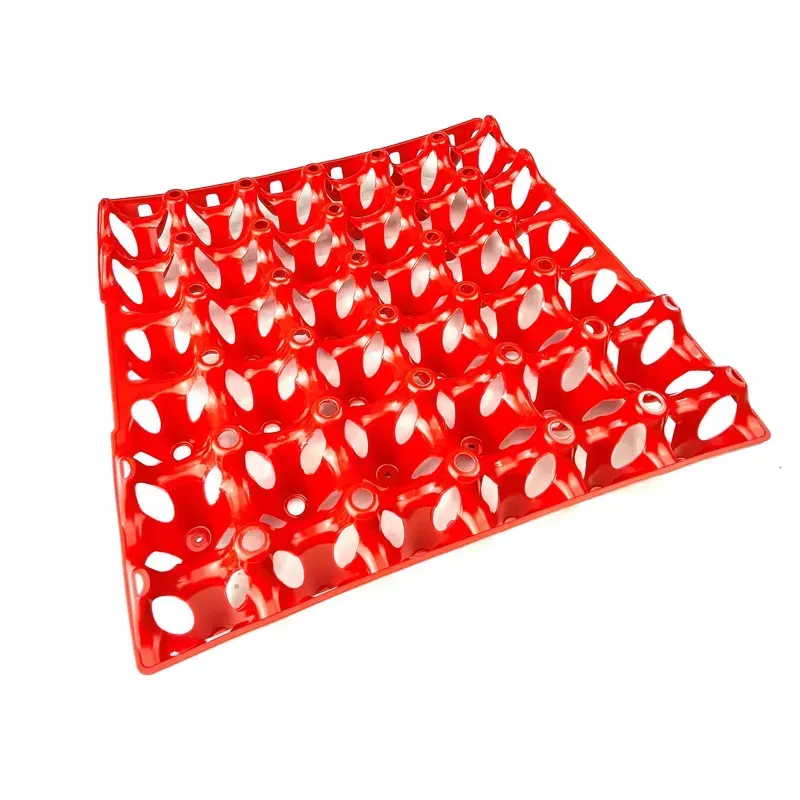 BEC 30 eggs Egg Tray in Red