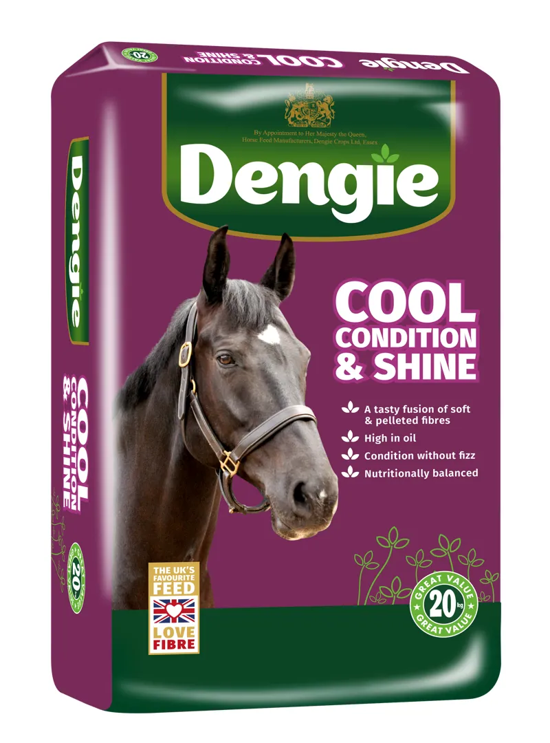 Dengie Cool Condition and Shine