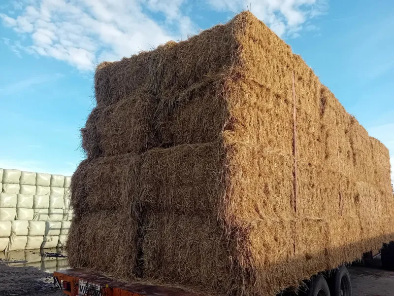 GB 6 String Pony Hay Bale