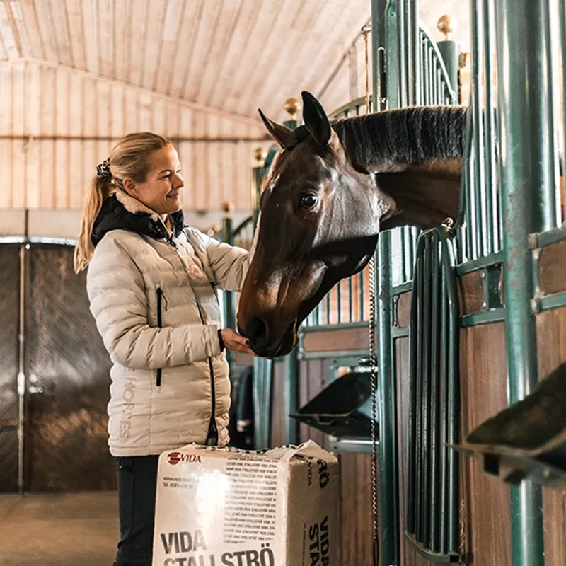 Vida Stallstro Woodshavings Horse Bedding 21 Bale Pallet Deal-2