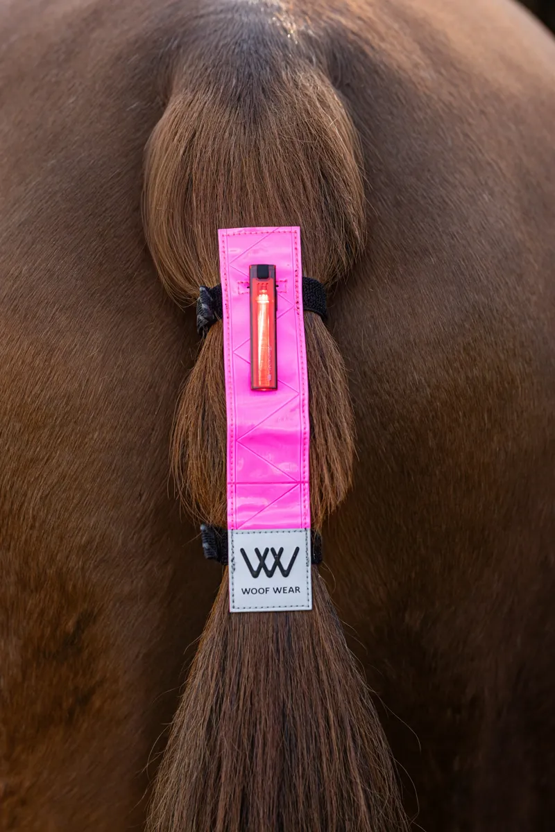 Woof Wear LED Hi Vis Tail Light in Pink