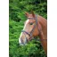 Shires Velociti GARA Comfort Fit Bridle in Havana