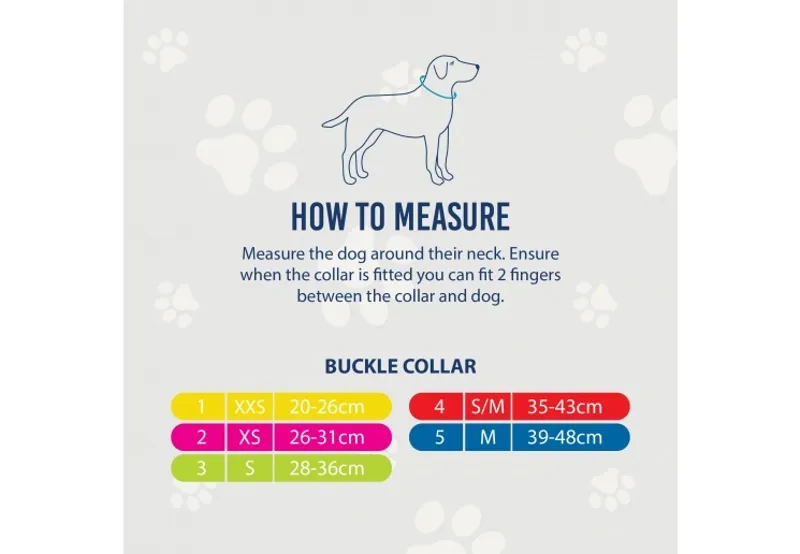 Ancol Viva Nylon Buckle Dog Collar - Black-4