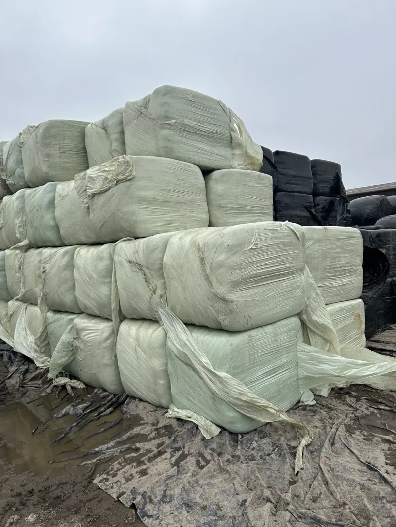 GB Large square bale Rye haylage approx 130x80x90