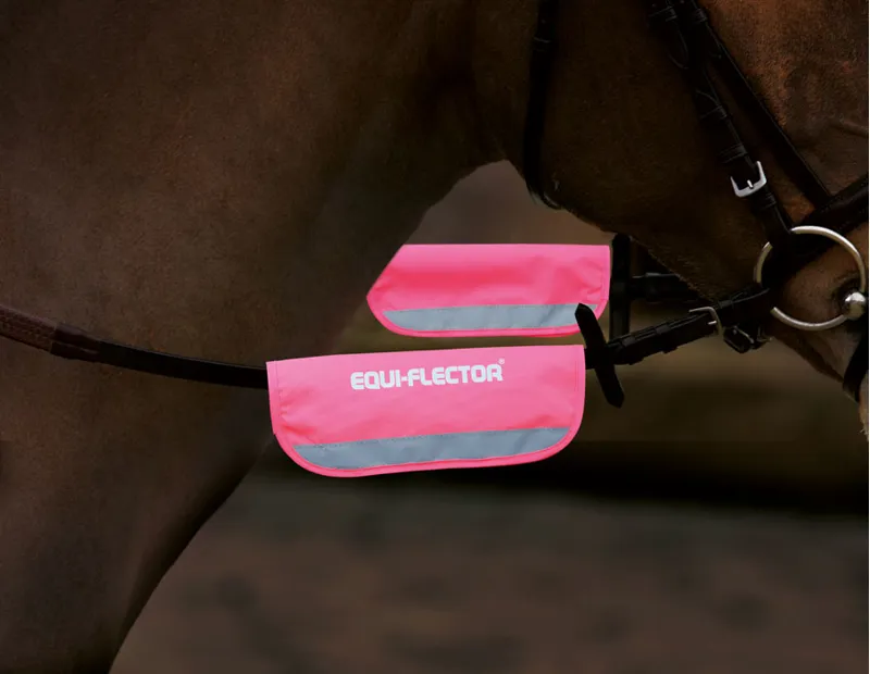 Shires EQUI-FLECTOR Bridle Bands in Pink