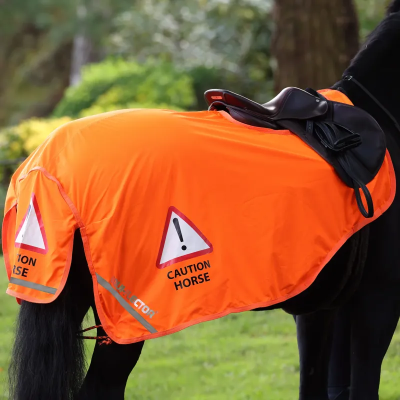 Shires EQUI-FLECTOR Mesh Exercise Sheet in Orange