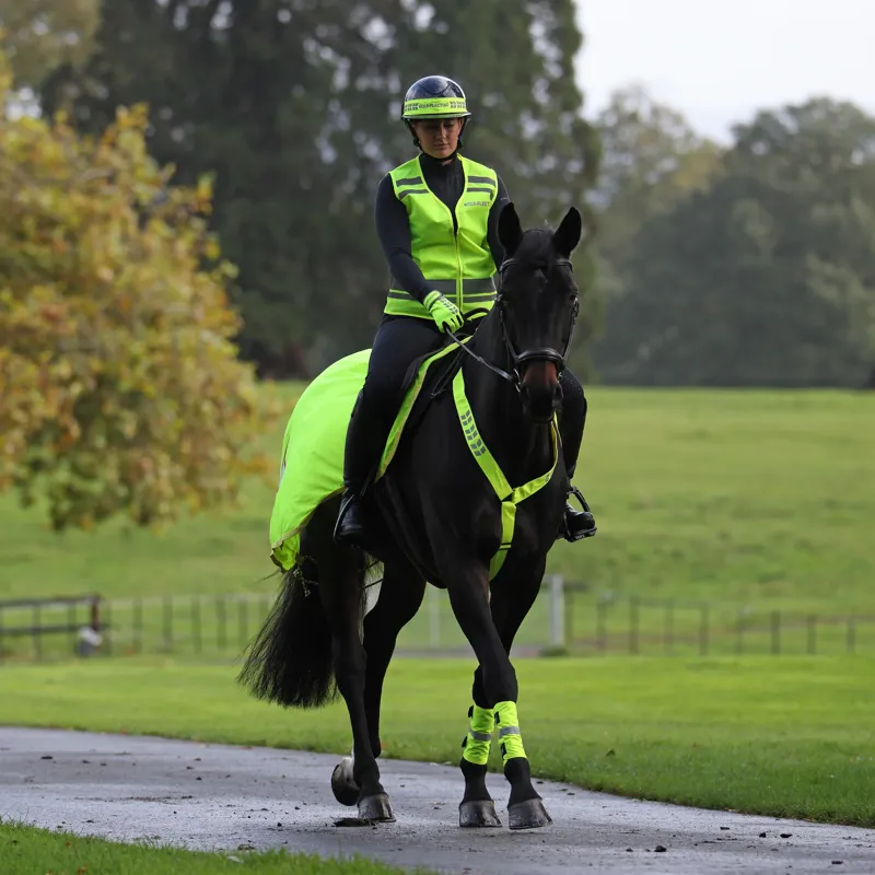 Shires EQUI-FLECTOR Mesh Exercise Sheet in Yellow-1