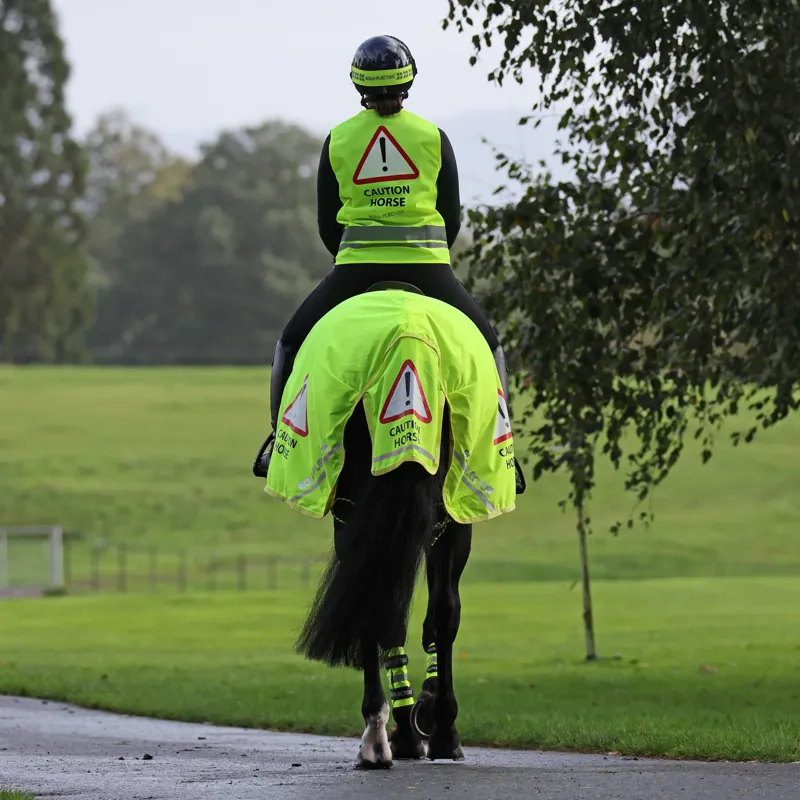 Shires EQUI-FLECTOR Mesh Exercise Sheet in Yellow-2