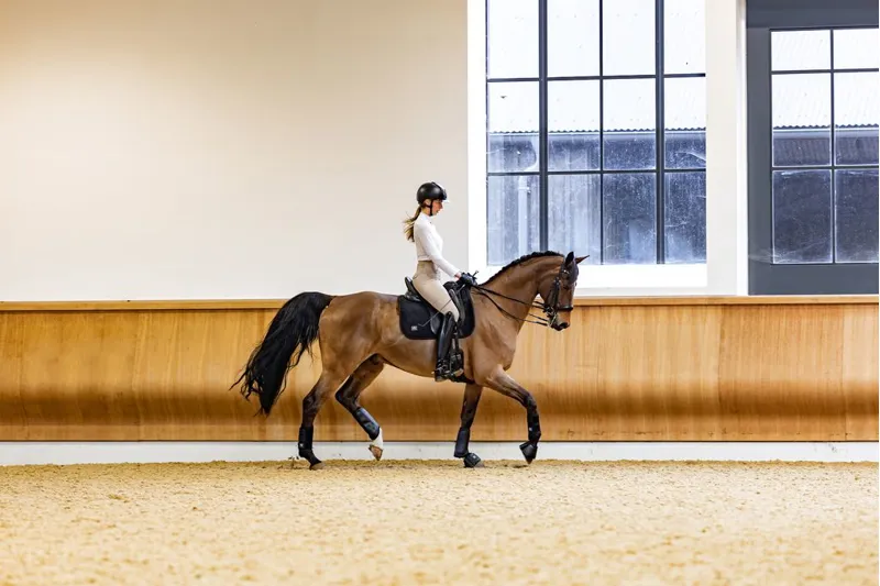 Woof Wear Elite Comfort Plus Dressage Saddle Pad in Black-6