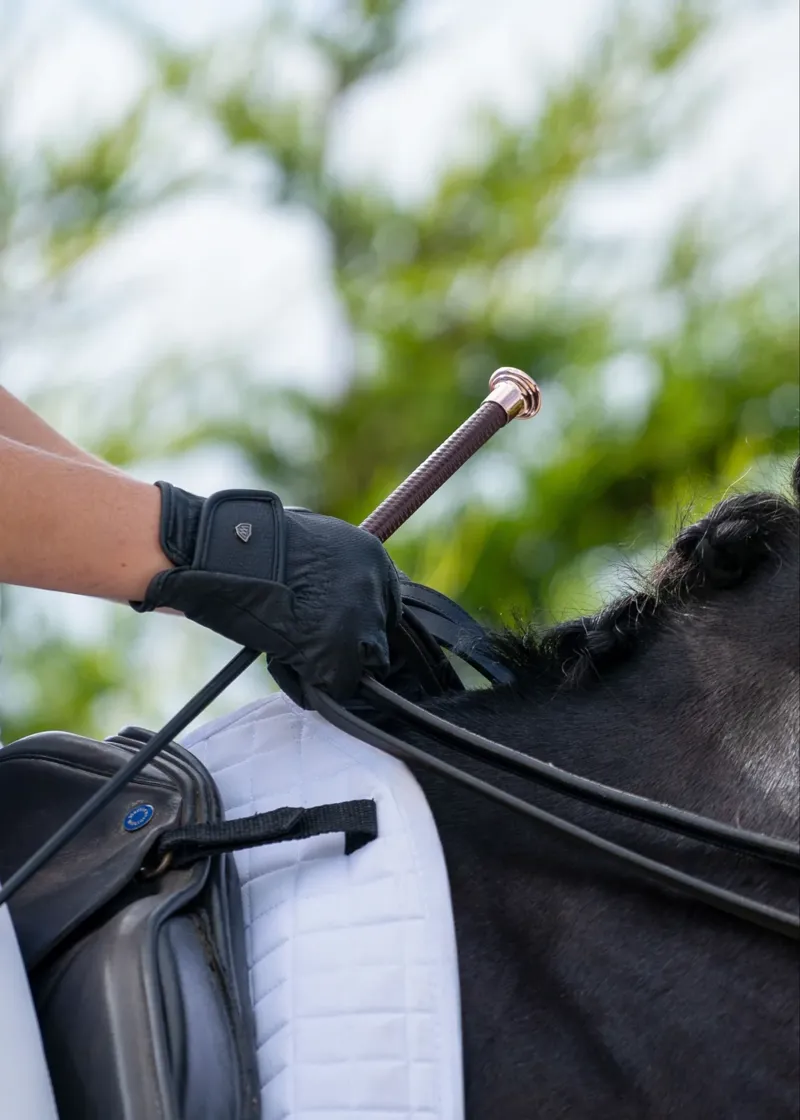 Woof Wear Diamond Dressage Whip 110cm in Chocolate-1