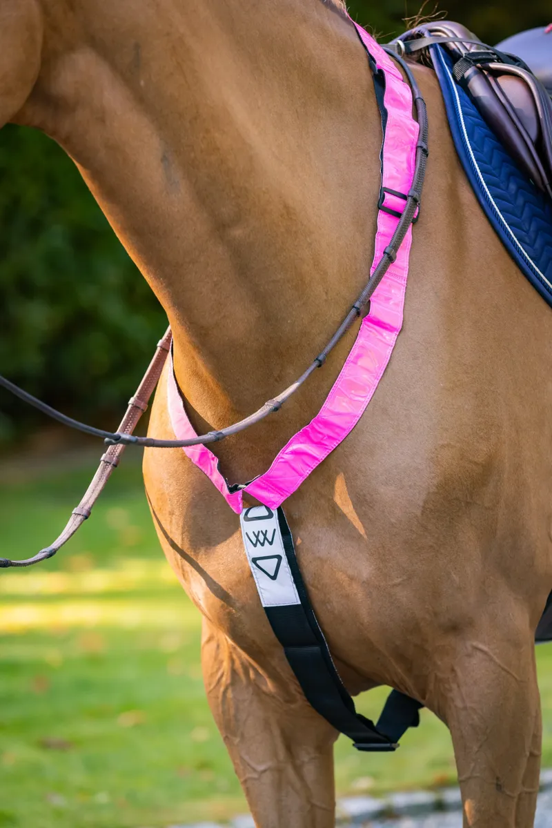 Woof Wear Hi Vis Neck Band in Pink-2