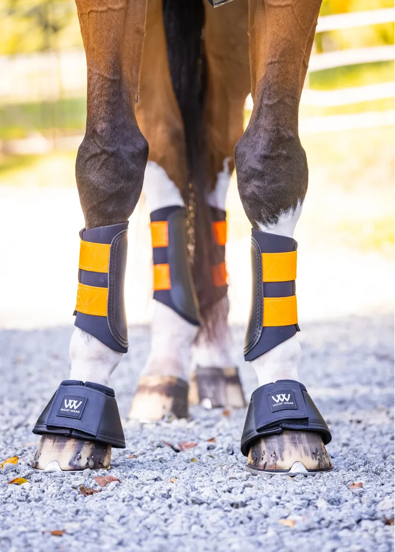 Woof Wear Reflective Club Brushing Boots in Orange-1
