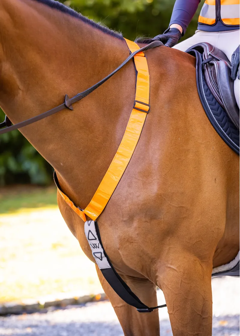 Woof Wear Hi Vis Neck Band in Orange-1