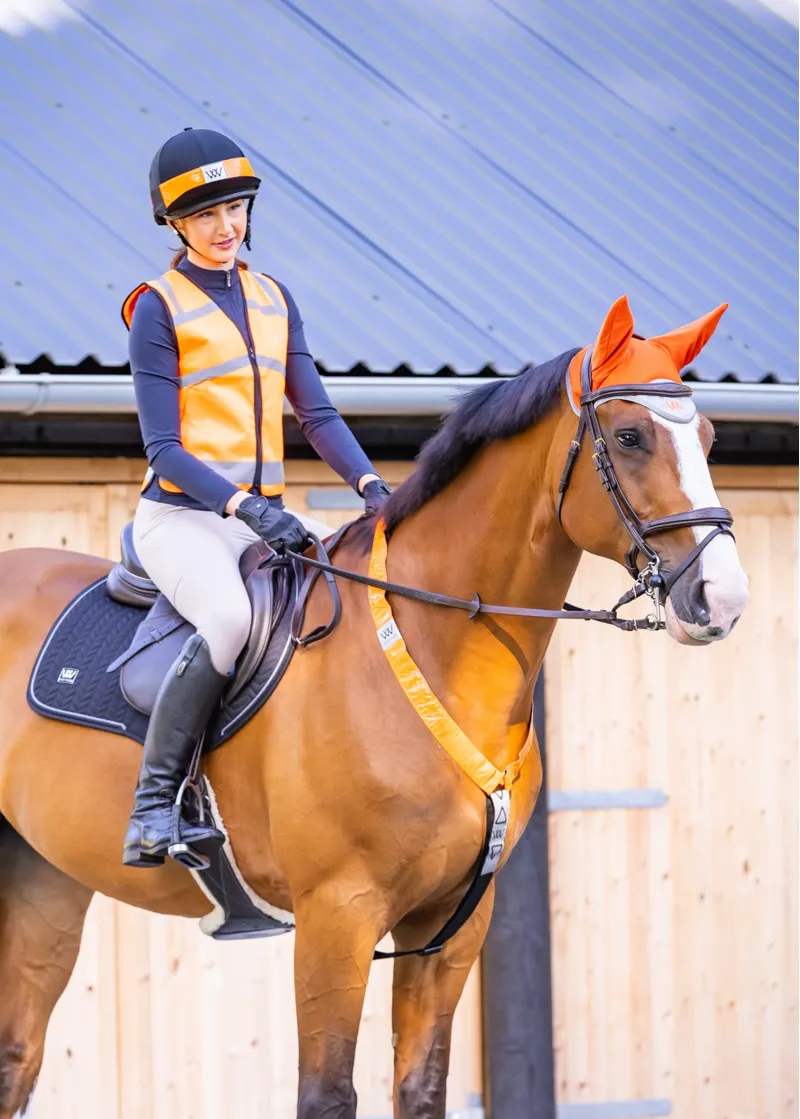 Woof Wear Hi Vis Fly Veil in Orange-3