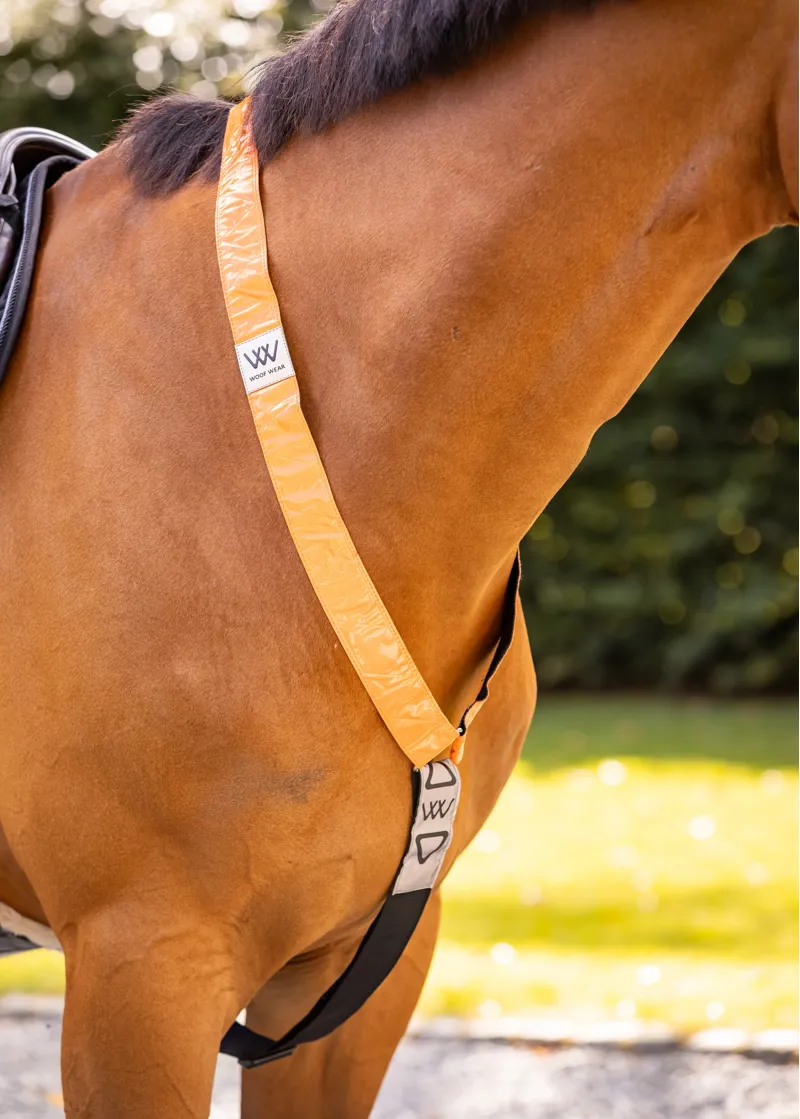 Woof Wear Hi Vis Neck Band in Orange-2