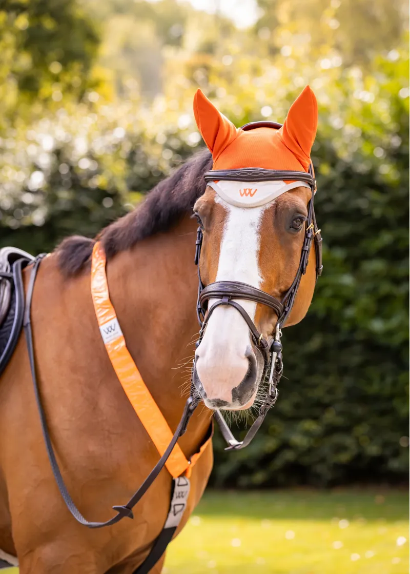 Woof Wear Hi Vis Fly Veil in Orange-2