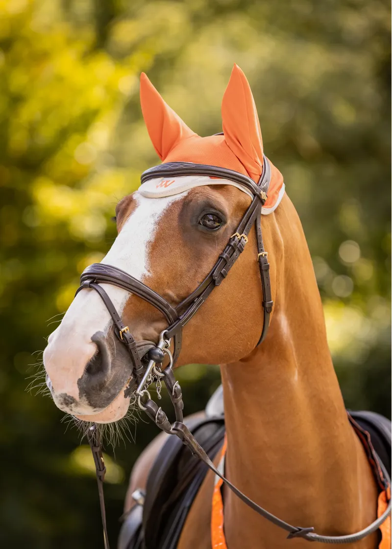 Woof Wear Hi Vis Fly Veil in Orange-1