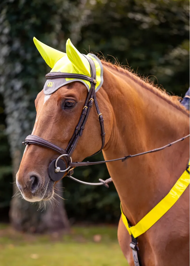 Woof Wear Hi Vis Fly Veil in Yellow-2