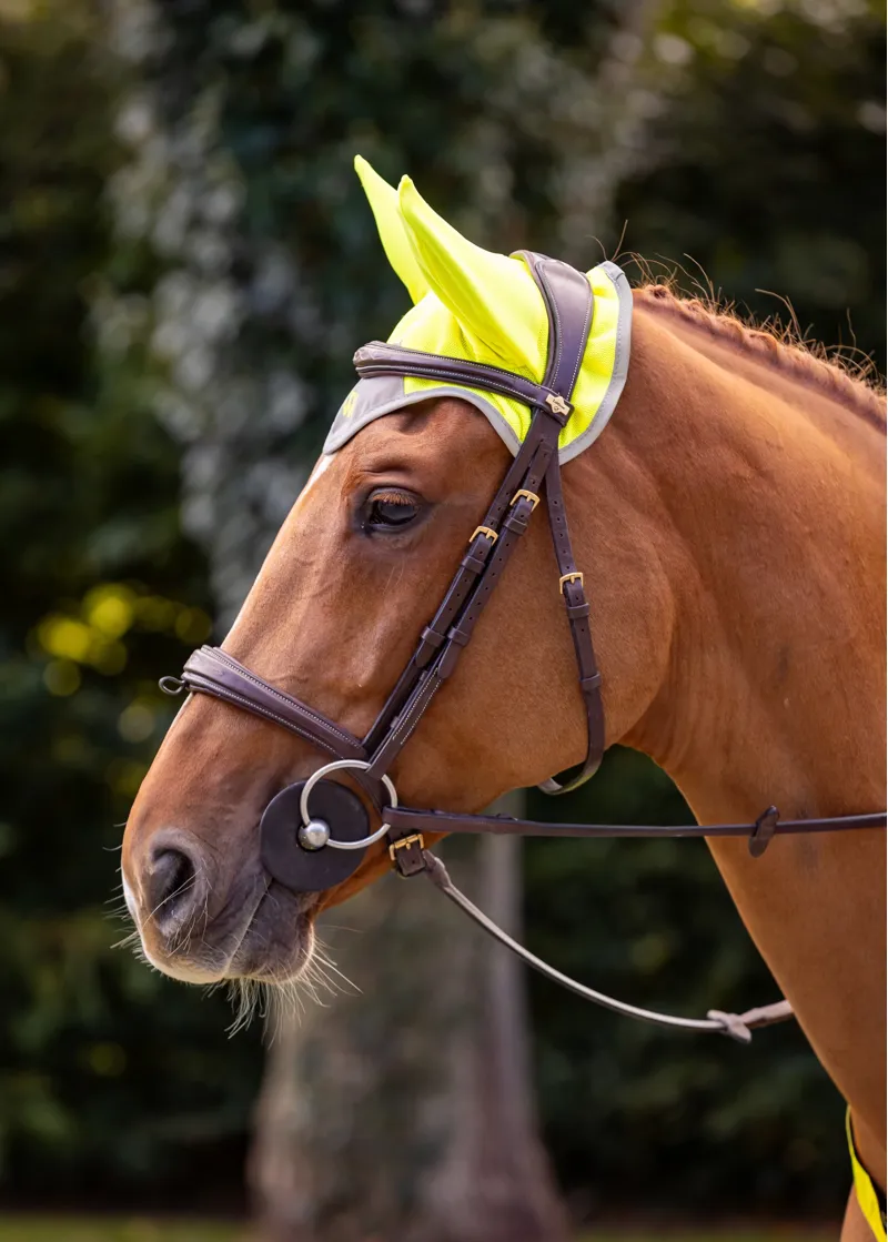 Woof Wear Hi Vis Fly Veil in Yellow-1