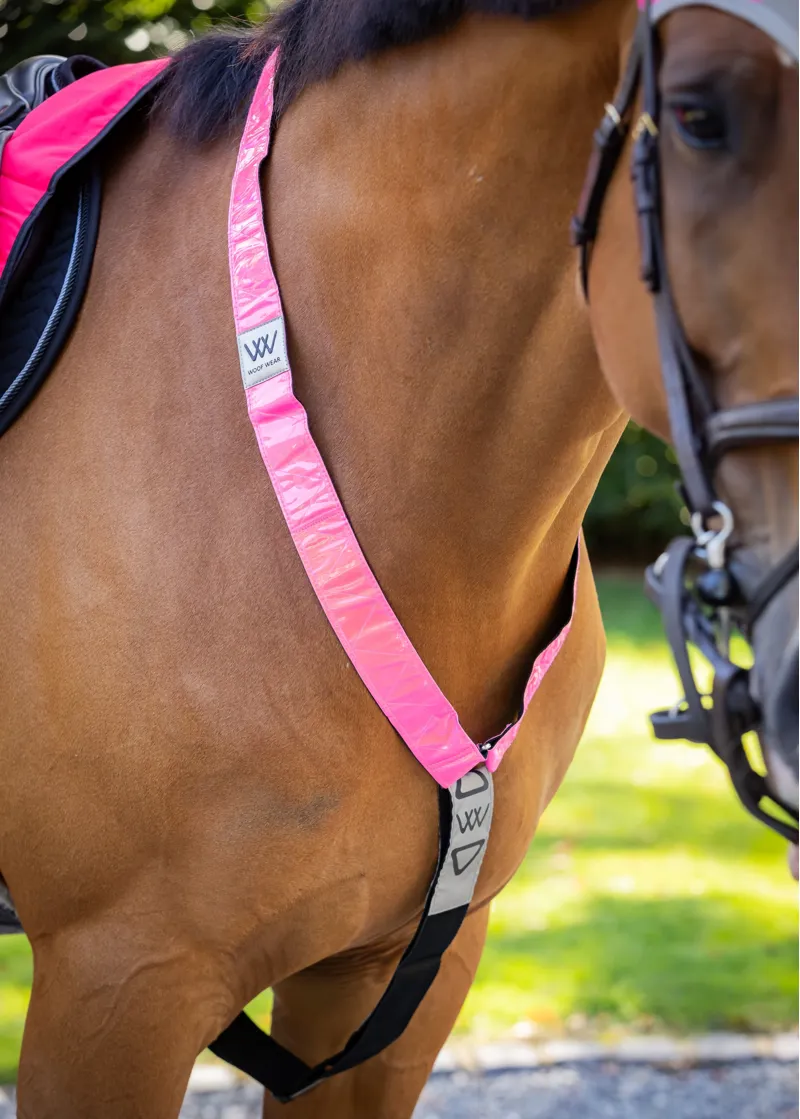 Woof Wear Hi Vis Neck Band in Pink-1