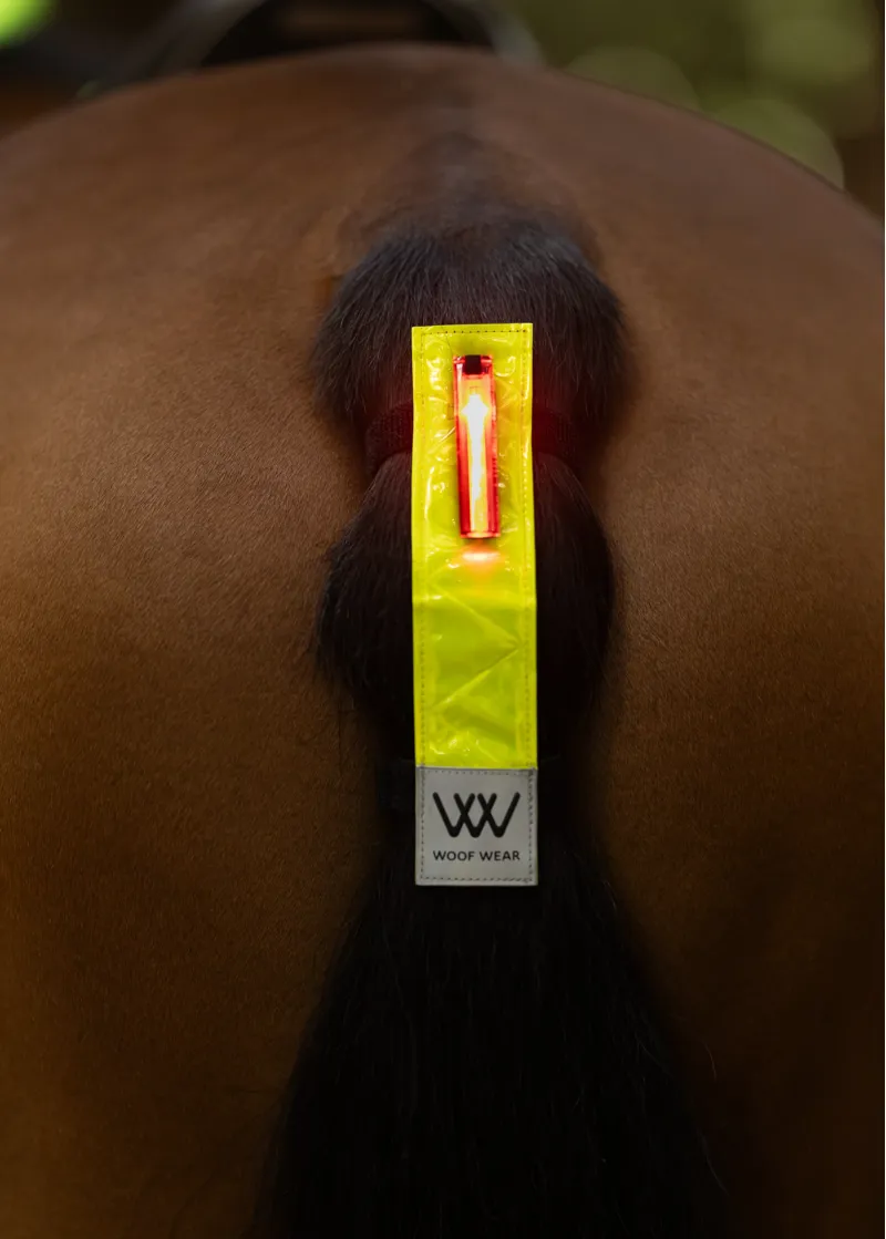 Woof Wear LED Hi Vis Tail Light in Yellow