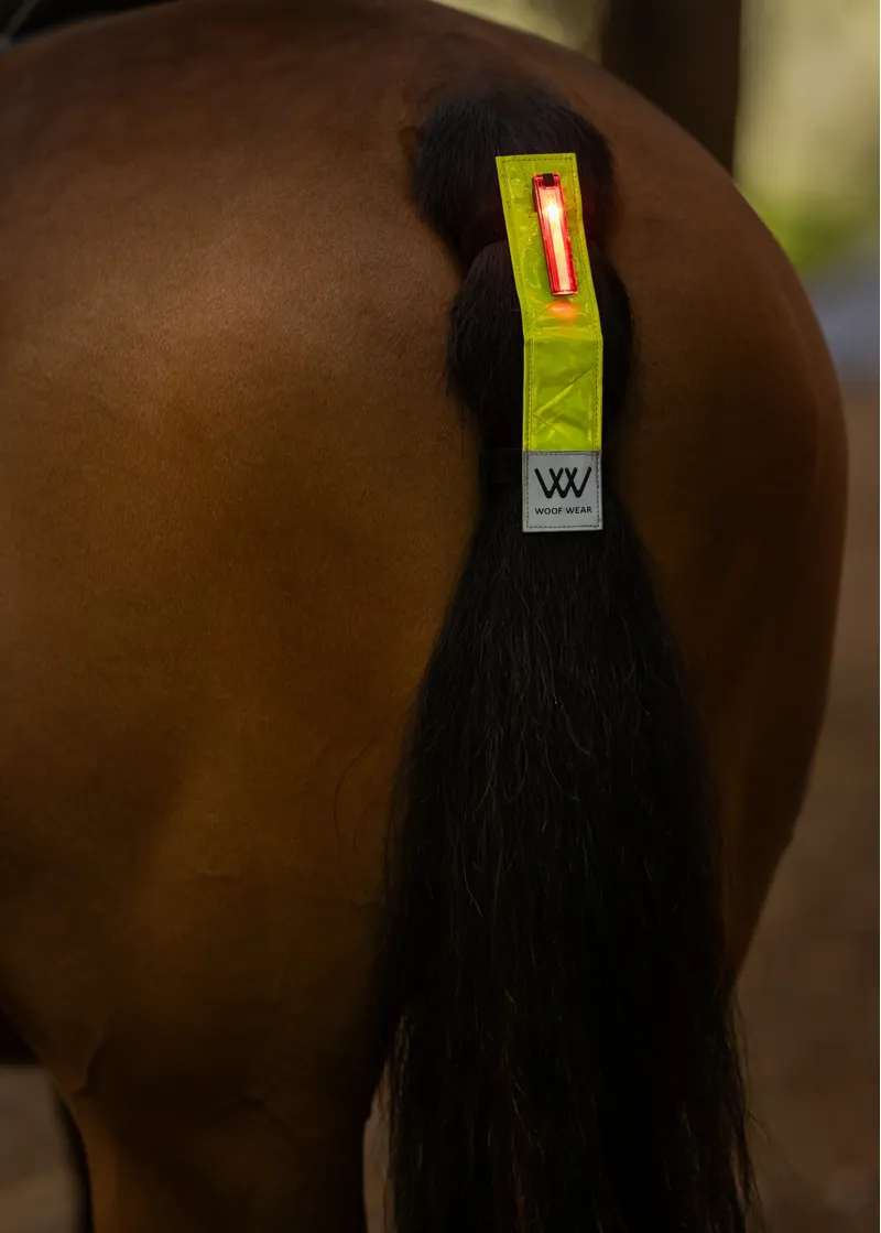 Woof Wear LED Hi Vis Tail Light in Yellow-1