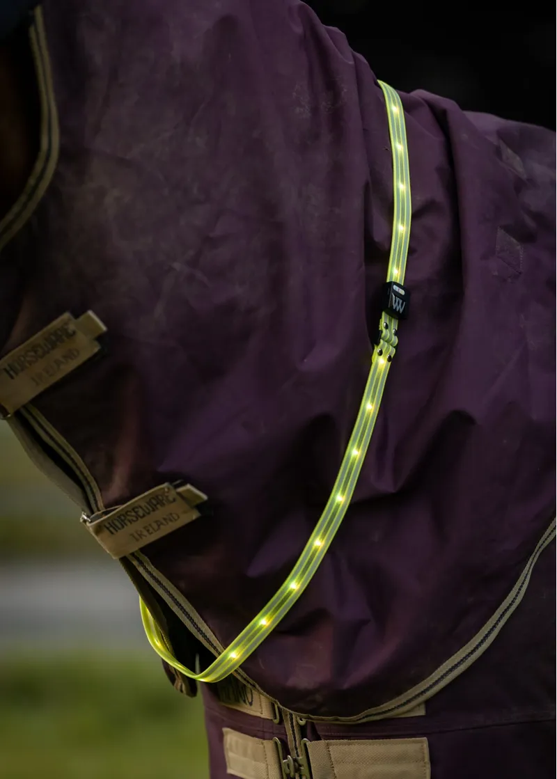 Woof Wear LED Sash M in Hi Vis Yellow-2