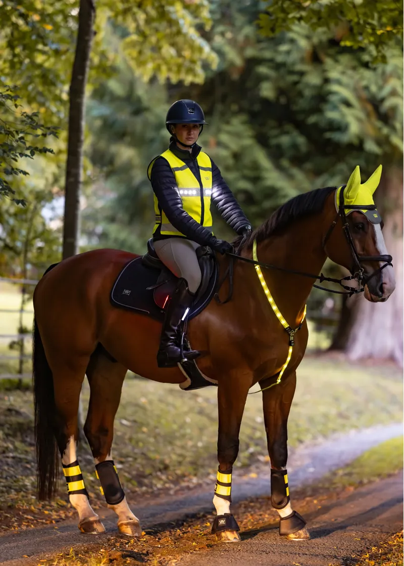 Woof Wear 3-in-1 Rider Safety Lights in Red/White-4
