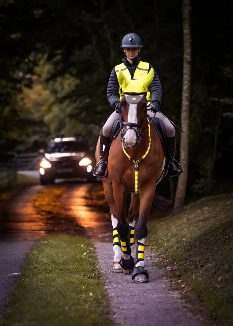 Woof Wear 3-in-1 Rider Safety Lights in Red/White-5
