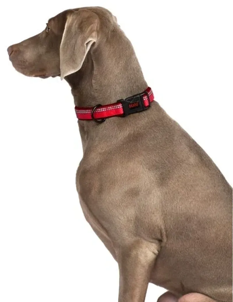 Ancol Halti Comfort Dog Collar in Red-1