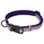 Ancol Halti Comfort Dog Collar Large 45-60cm in Purple