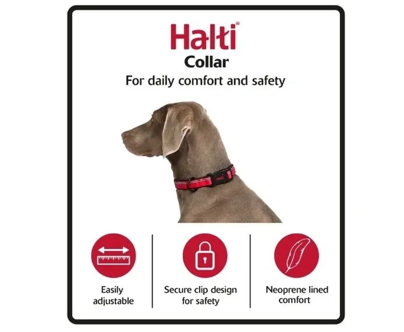 Ancol Halti Comfort Dog Collar in Red-2