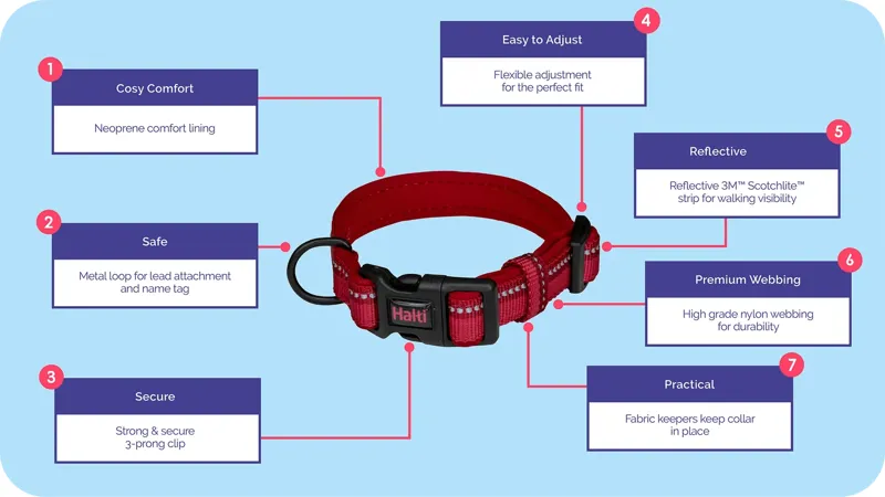 Ancol Halti Comfort Dog Collar Large 45-60cm in Purple-2