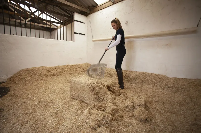 Burlybed Light Extra Rape Straw Horse Bedding 48 Bale Pallet Deal-3