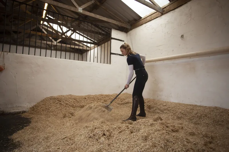 Burlybed Light Extra Rape Straw Horse Bedding 48 Bale Pallet Deal-4
