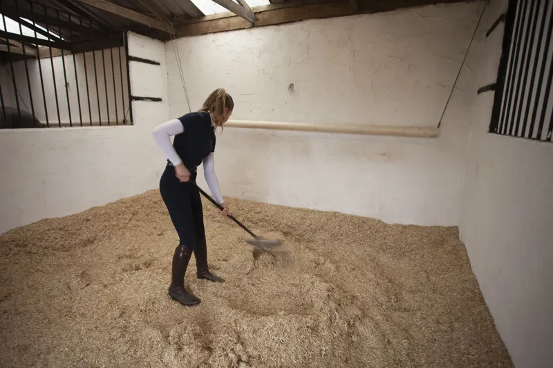 Burlybed Light Extra Rape Straw Horse Bedding 48 Bale Pallet Deal-5