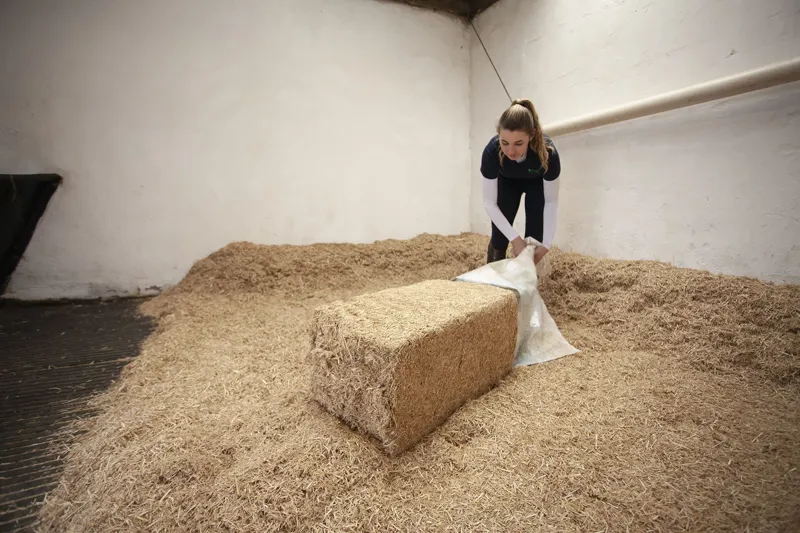 Burlybed Original Extra Miscanthus Bedding 20kg 48 Bale Pallet Deal-2
