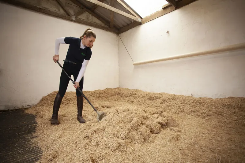Burlybed Original Extra Miscanthus Bedding 20kg 48 Bale Pallet Deal-3