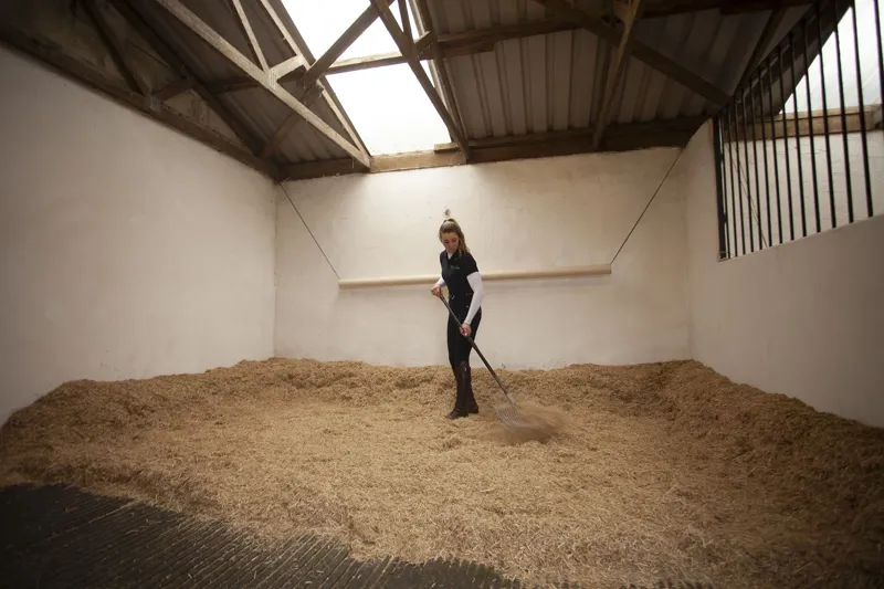 Burlybed Original Extra Miscanthus Bedding 20kg 48 Bale Pallet Deal-5