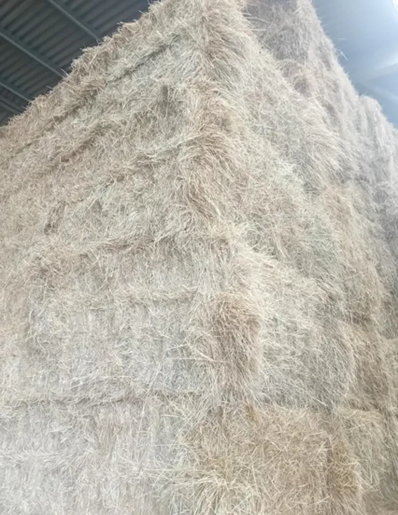 GB 6 string Premium Meadow Hay