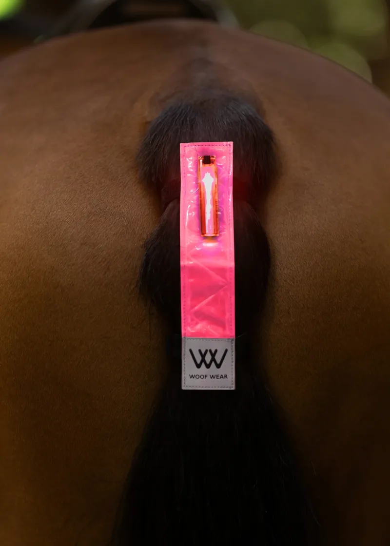 Woof Wear LED Hi Vis Tail Light in Pink-1