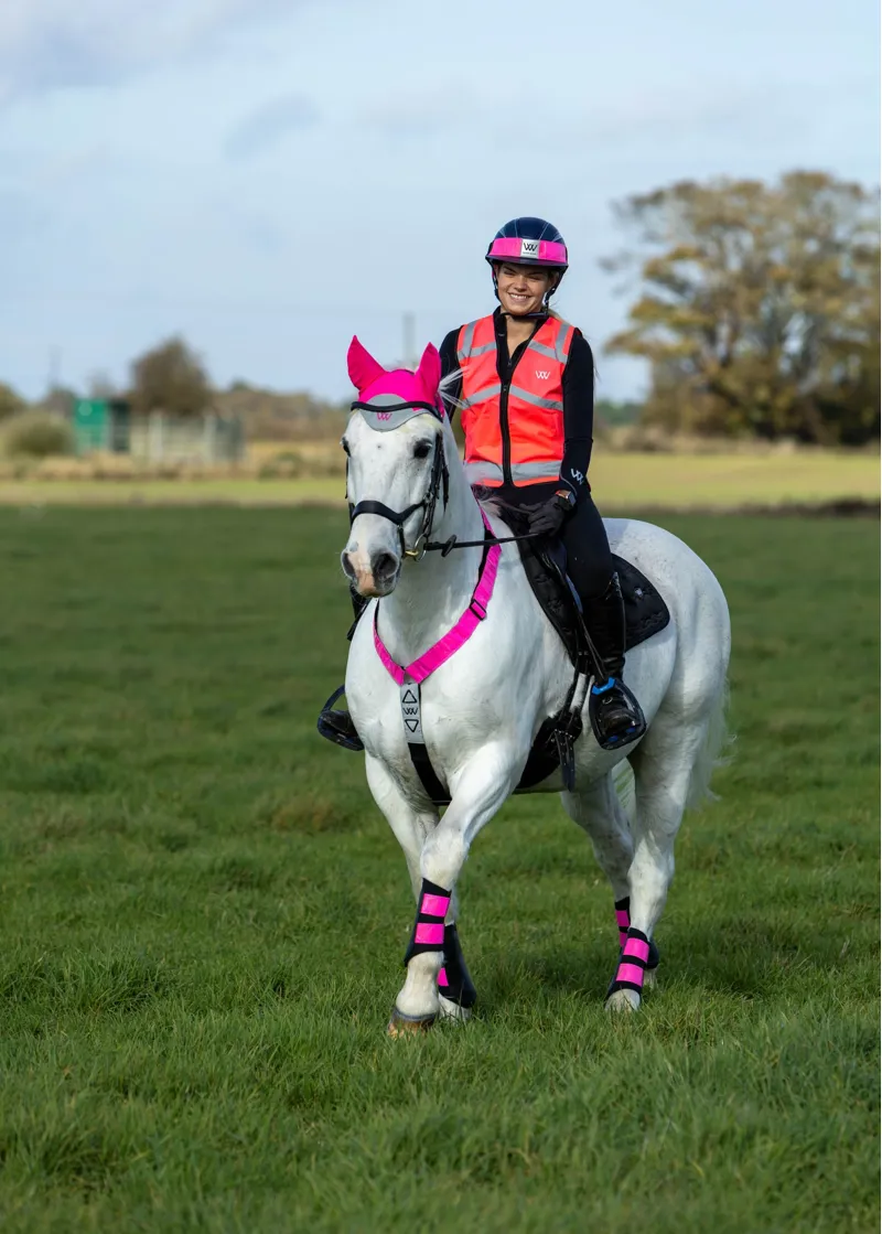 Woof Wear Hi Vis Neck Band in Pink-3