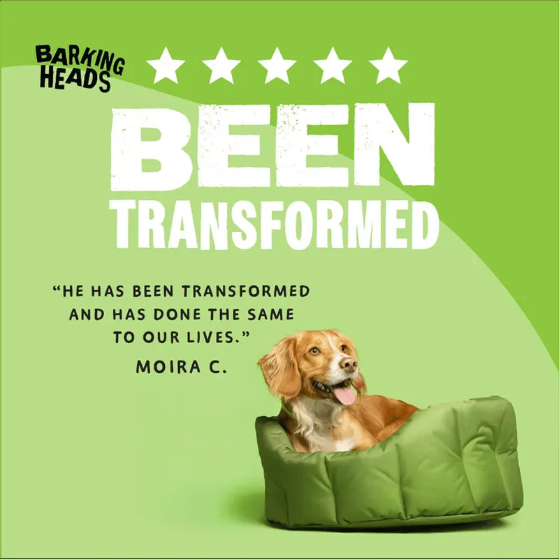 Barking Heads Adult Bowl Lickin' Lamb Dry Dog Food 12kg-5